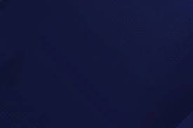 掘金约基奇豪取三双助球队连胜